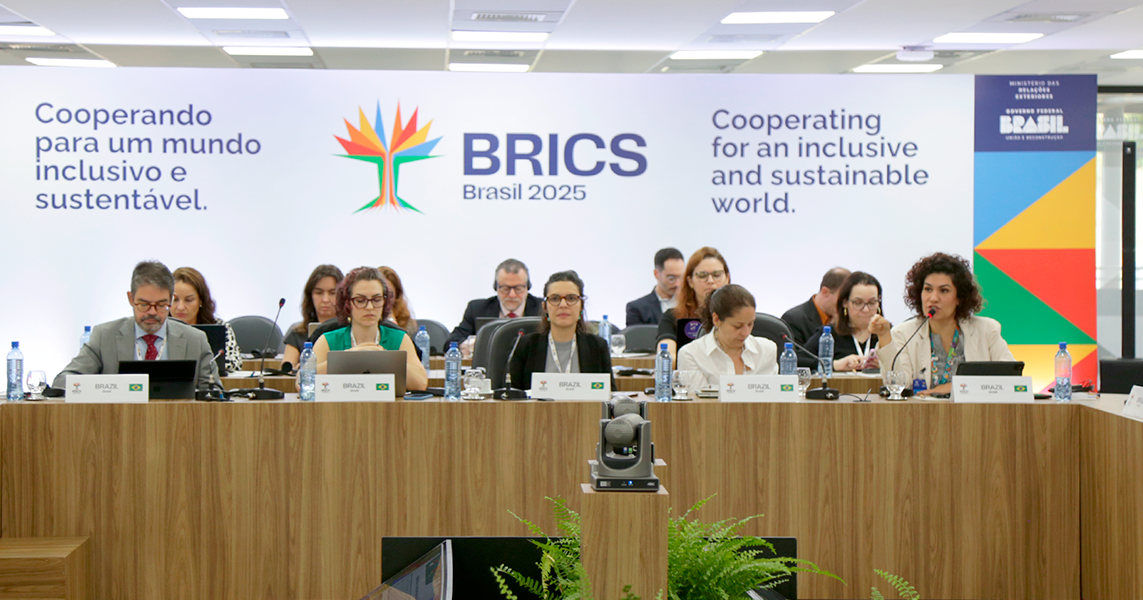 Brics_dentro.png