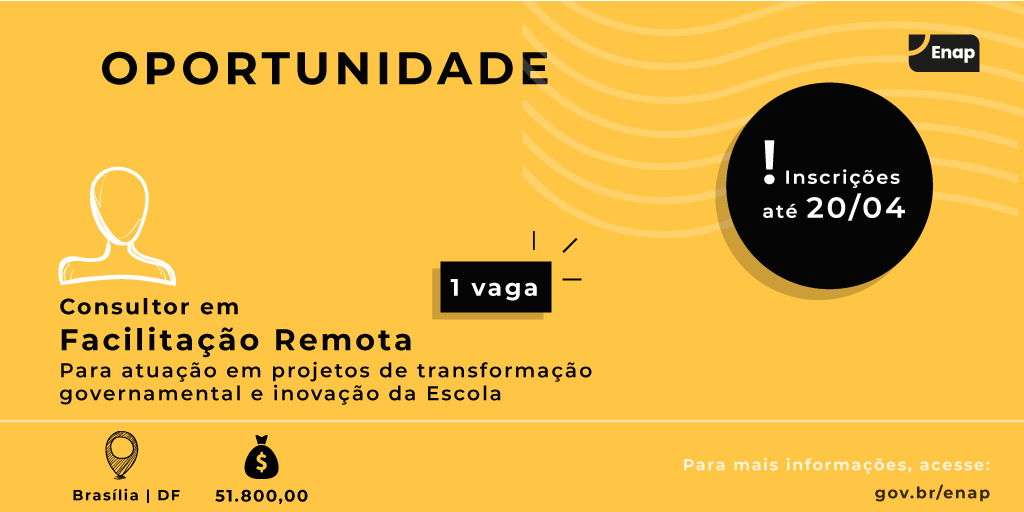 Enap seleciona consultor em facilitação remota