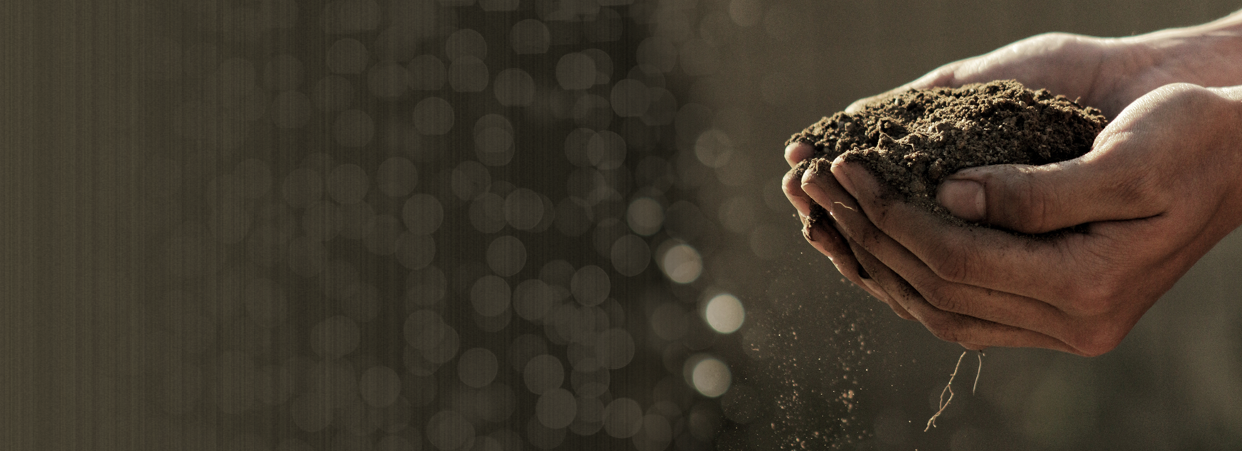 Convocação para matrícula em terceira chamada: Especialização em Gestão de Políticas Agropecuárias