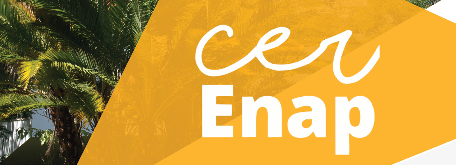 Enap lança ‘Revista Competências Comportamentais 2018-2019’