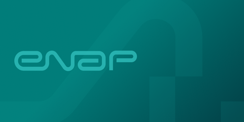 Imagem default verde com logo da Enap