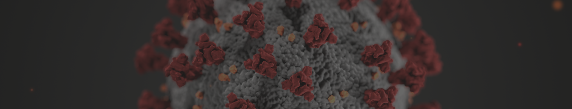 Enap recebe 600 propostas de 25 estados nos desafios para enfrentamento à Covid-19