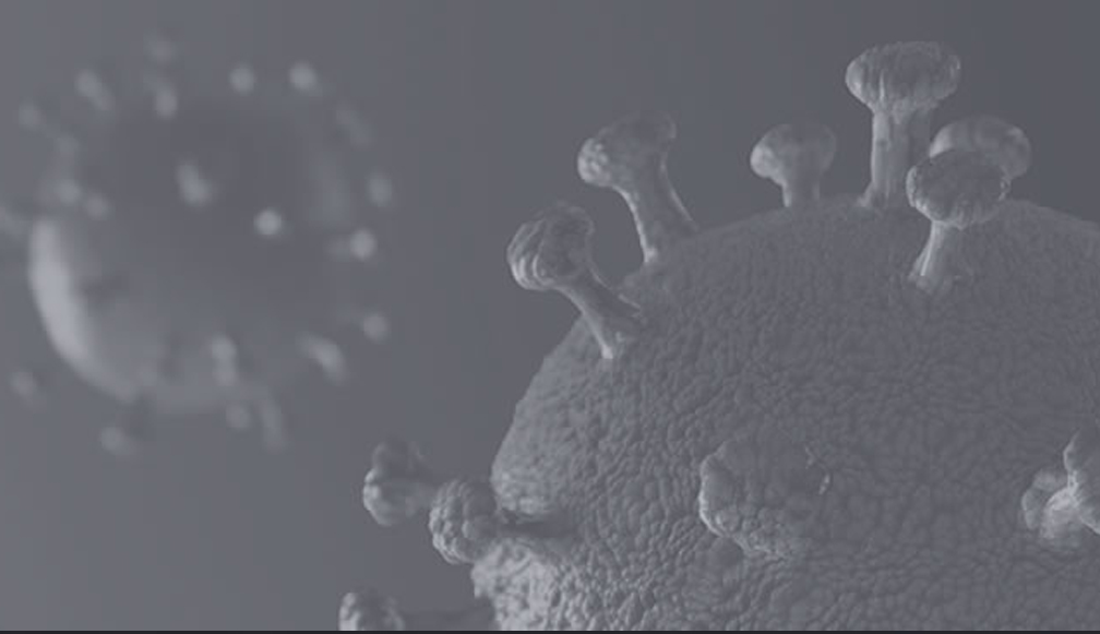 Revista do Serviço Público lança edição especial sobre Governos e Covid-19 e convida autores 