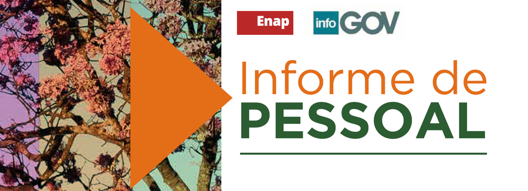 Lançamento: Informe de Pessoal – Análise por Organizações