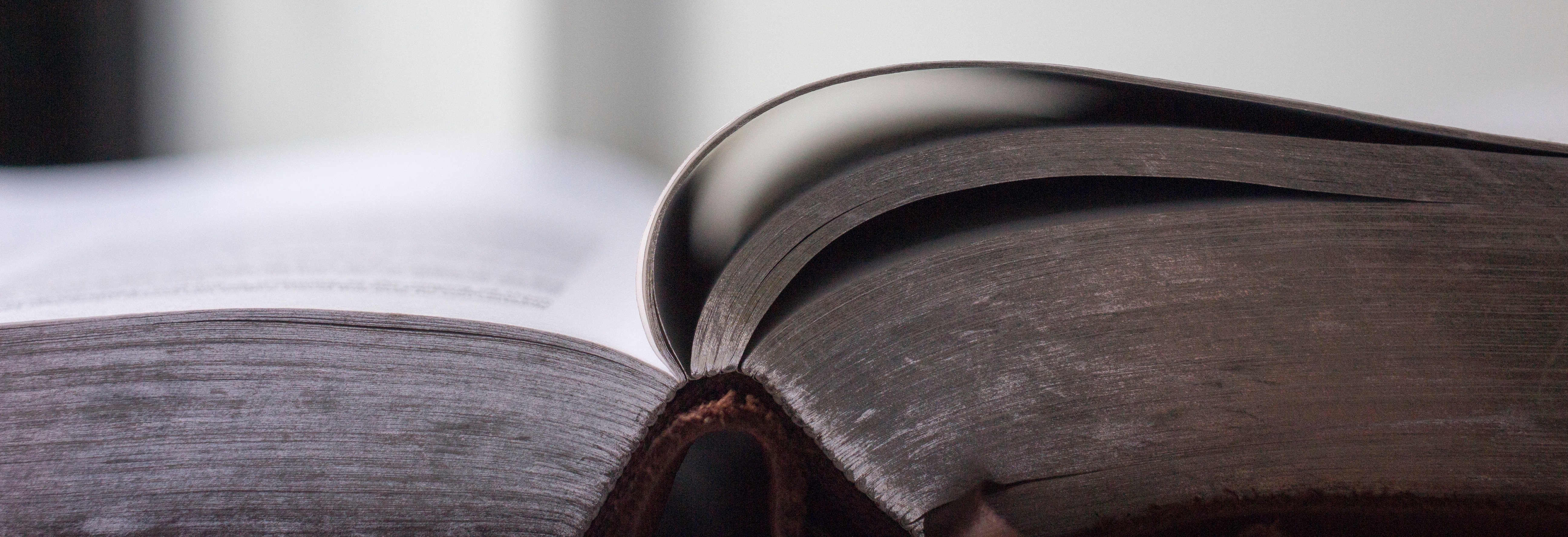 Inscreva-se: Conversa com o Autor sobre a Edição Especial da Revista, “Repensando o Estado Brasileiro”